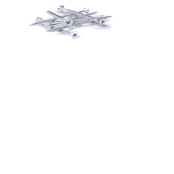 Quattro Plus Screws